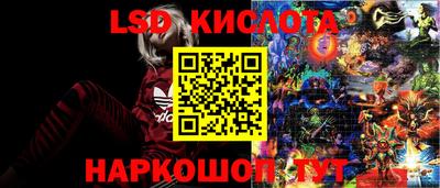гидра Беслан