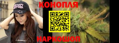 гидра Беслан