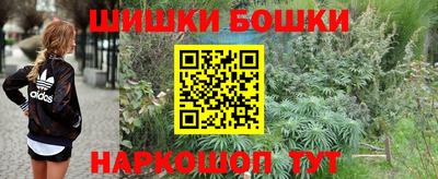 не бодяженный Бийск