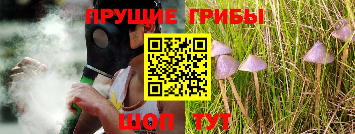 Псилоцибиновые грибы прущие грибы  Вход с VPN  Знаменск 